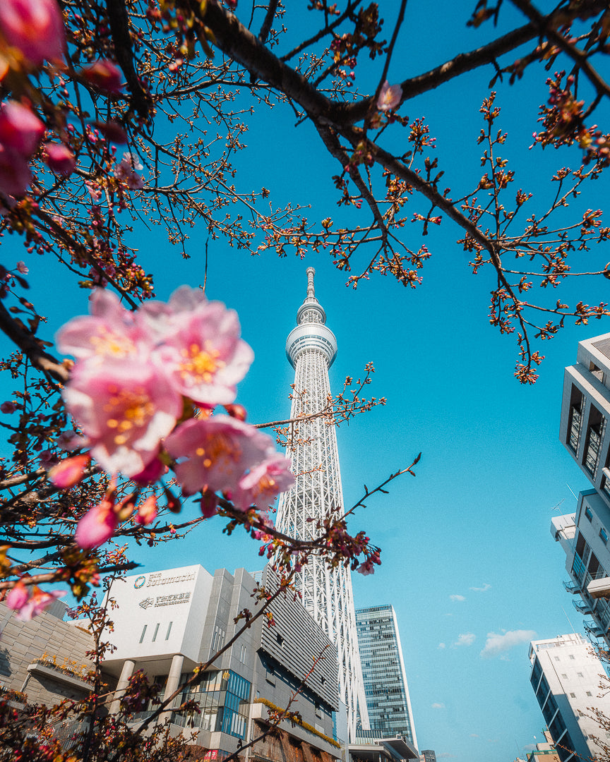 Tokyo dited