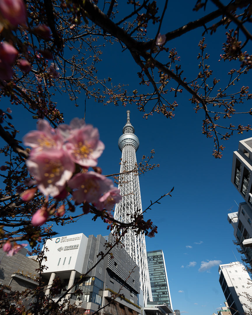 Tokyo unedited